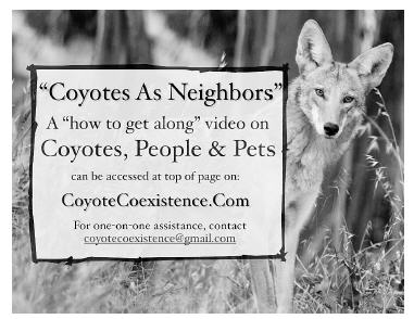 CoyotesNeighbors